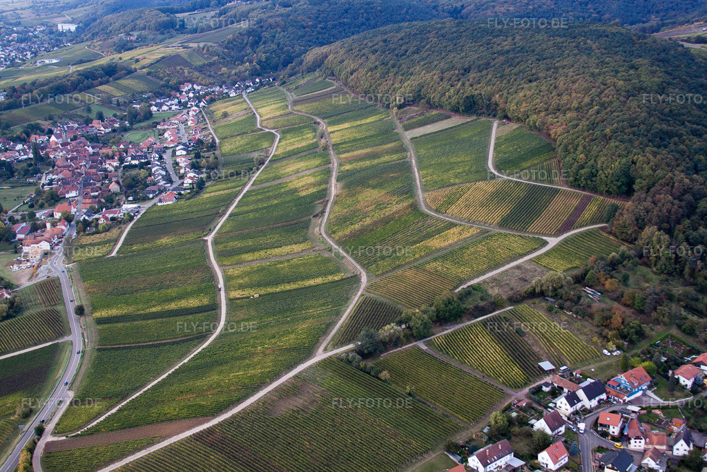 Luftbild: Weinlage Gottesacker am Haardtrand im Ortsteil Pleisweiler in Pleisweiler-Oberhofen im Bundesland Rheinland-Pfalz in Deutschland. Foto: IMG_22404.jpg vom 15.10.2009 durch Werner Riehm/FLY-FOTO.de