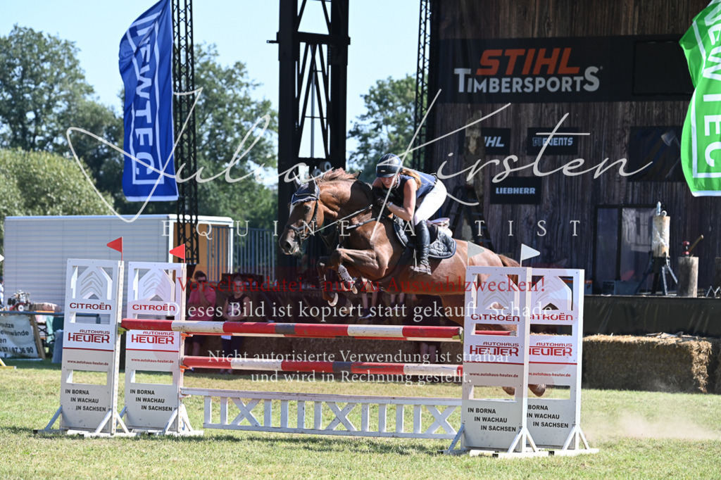 DSC_6465 | Pferde- und Turnierfotografie in Westsachsen. Pferdeportraits, Auftragszeichnungen und intuitive Kunst.