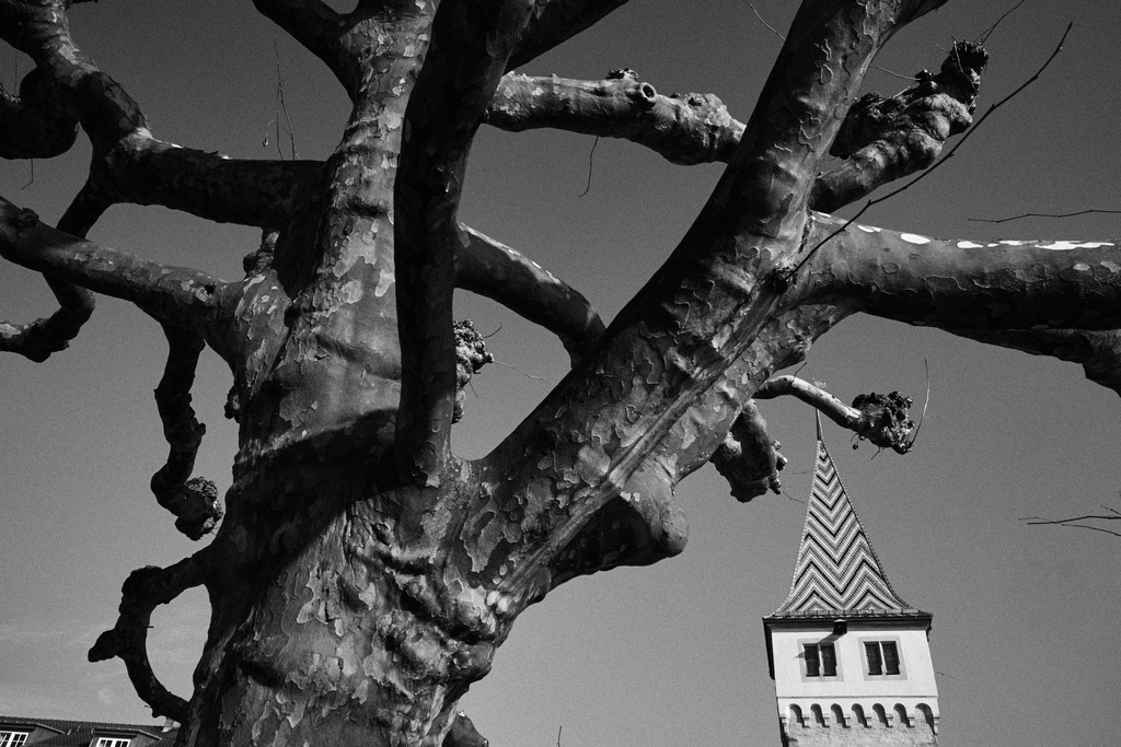 Hafenpromenade mit Mangturm | Lindau, Deutschland - February 08, 2017: Hafenpromenade mit Mangturm. - Realisiert mit Pictrs.com