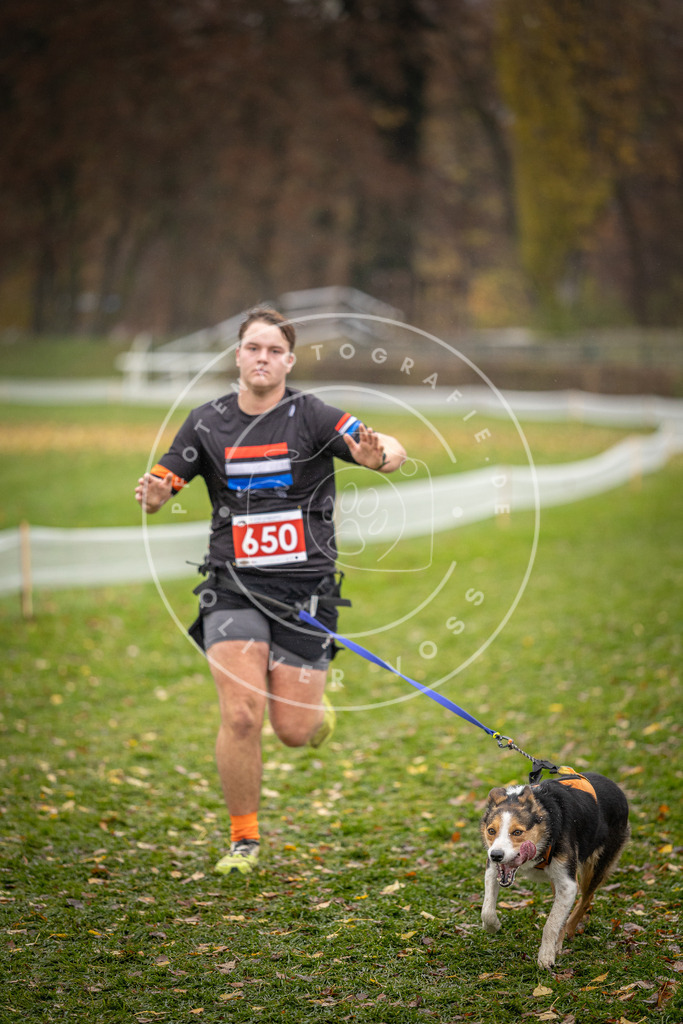 CaniXpix_DV3A0081 | Hundefotografie, Tierfotograf, Pfotenfotografie, Fotoshooting Hund, Hunde Portrait, Hundesport, Hundeportraits, Heideshooting, Hunde, Sportfotograf, Hundefotograf, Turnierhundsport, THS,  - Realisiert mit Pictrs.com
