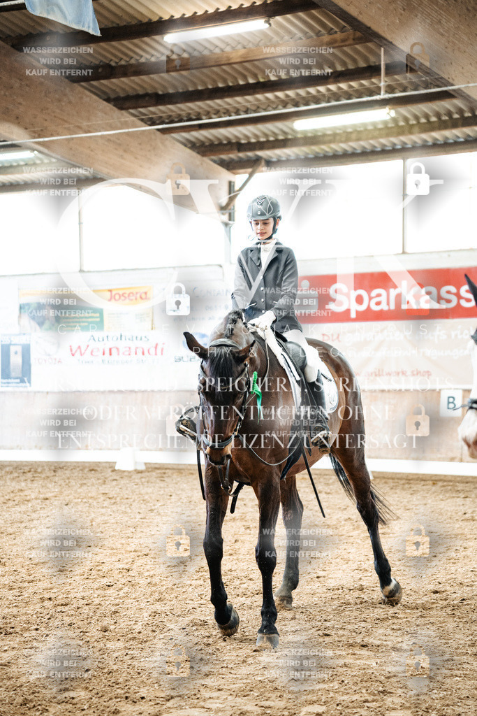 CK703124 | Turnierfotografie Pferdefotografie Trier Rheinland-Pfalz Pferdesport Reitsport Tierfotografie Sportfotografie Pferdevideo Pferdevideografie Equestrianvideography equestrianphotography  - Realized with Pictrs.com