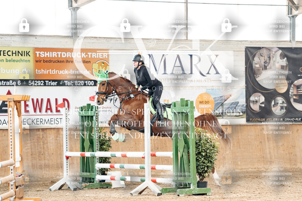 CK905462 | Turnierfotografie Pferdefotografie Trier Rheinland-Pfalz Pferdesport Reitsport Tierfotografie Sportfotografie Pferdevideo Pferdevideografie Equestrianvideography equestrianphotography  - Realized with Pictrs.com