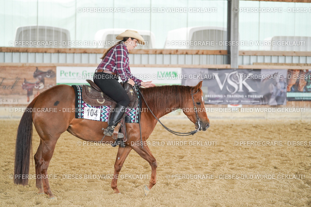 DSC04014 | Pferdegrafie