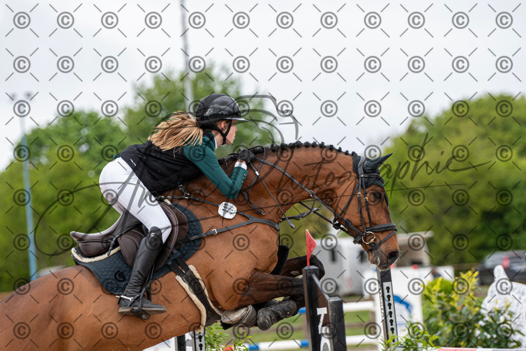 KPT_0017 | andre_photographic