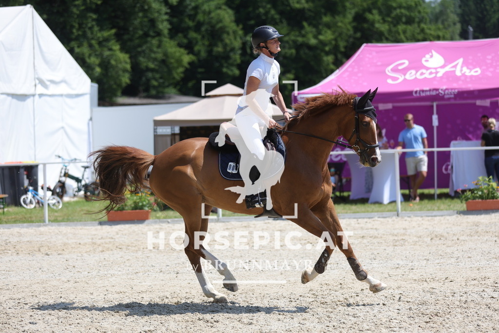 0P6A9489 | Willkommen bei Brunnmayr - Design & Fotografie – Ihrem Spezialisten für Reitturniere und Pferdeveranstaltungen in Oberösterreich, Salzburg und Bayern! Seit über 17 Jahren sind wir leidenschaftlich dabei.