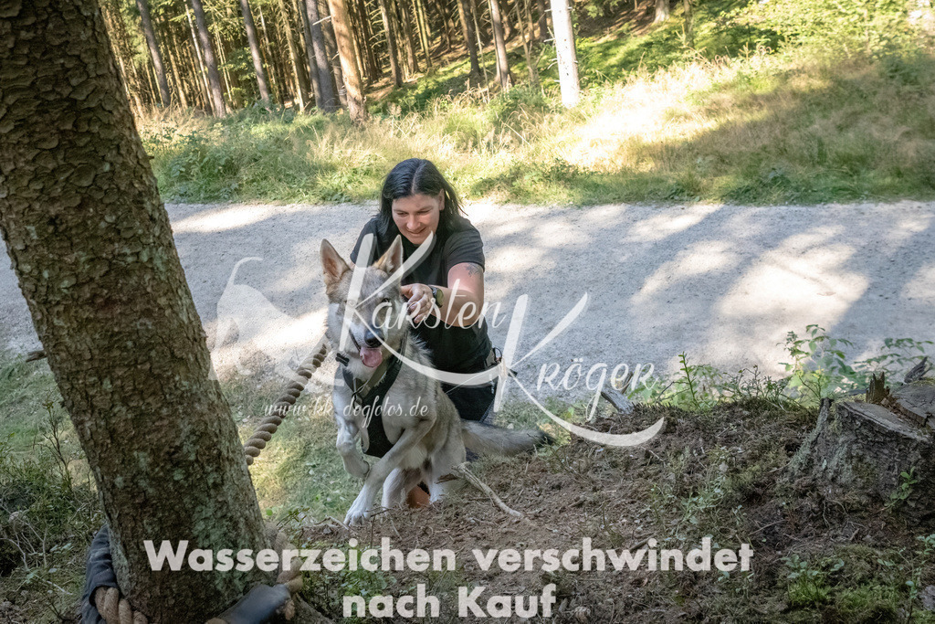 1225_ZZ94462 | kk-dogfotos