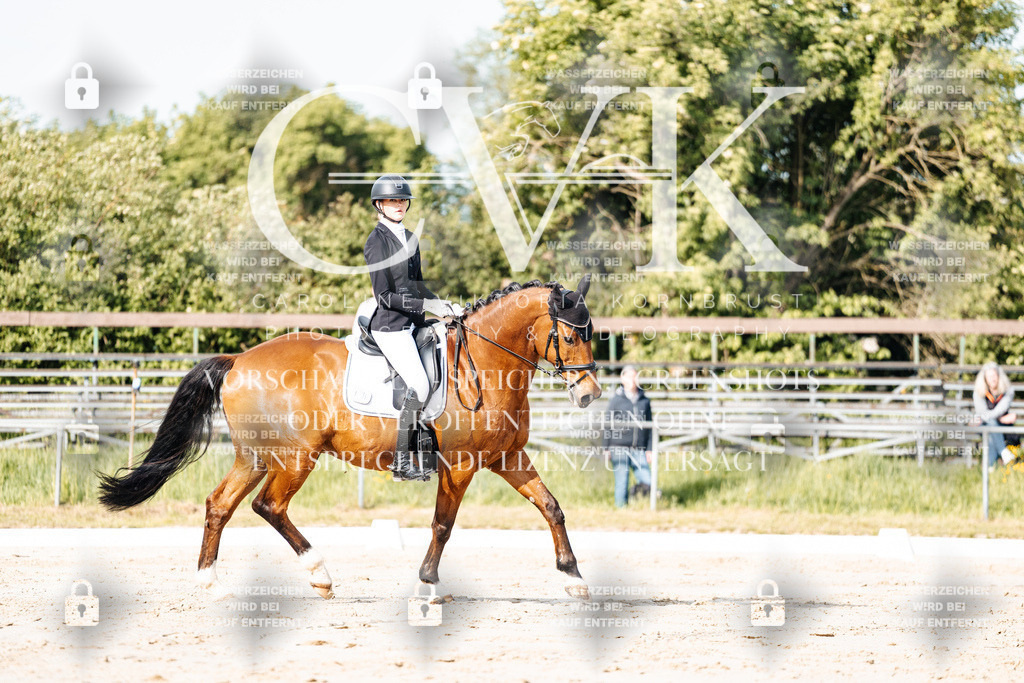 CK900119 | Turnierfotografie Pferdefotografie Trier Rheinland-Pfalz Pferdesport Reitsport Tierfotografie Sportfotografie Pferdevideo Pferdevideografie Equestrianvideography equestrianphotography  - Realisiert mit Pictrs.com