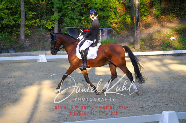 DKP41188 | Turniersportfotografie; Pferdefotografie; Dressurfotografie