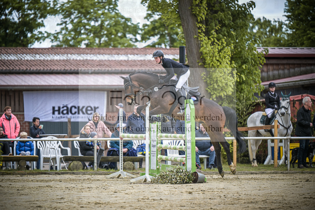 DOS_6080 | Entdecke hochwertige Reitturnierfotos von Foto Oger. Professionell, emotional und authentisch – jetzt Lieblingsmomente im Shop bestellen.Deutschlandweite Turnierfotografie. - Realisiert mit Pictrs.com