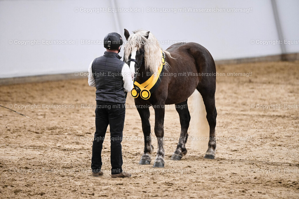 20260307_Hengstvorstellung-Marbach_0264 | equistock