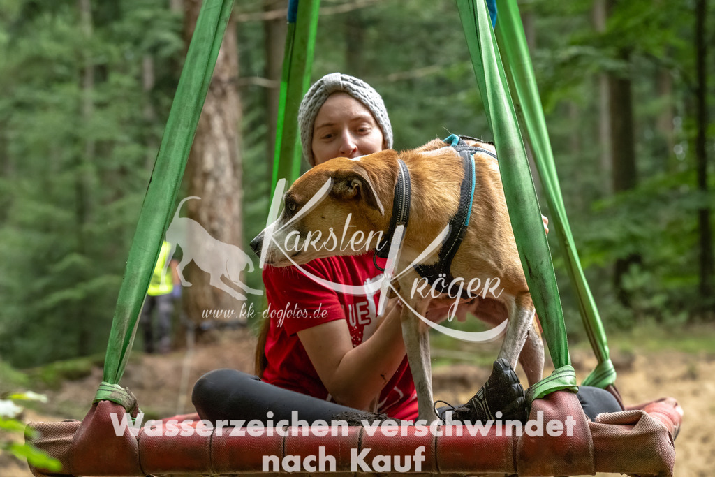 1140_ZZ90147-Bearbeitet | kk-dogfotos
