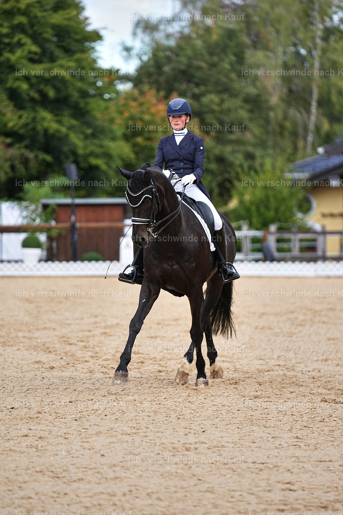 10-115-ST.GEORG SPECIAL -Marixx-3350 | working equitationturnier fotograf videograf stoibphotography marixx film working equitation deutschland reitsport turnierfotografie eventfotografie equestrian events