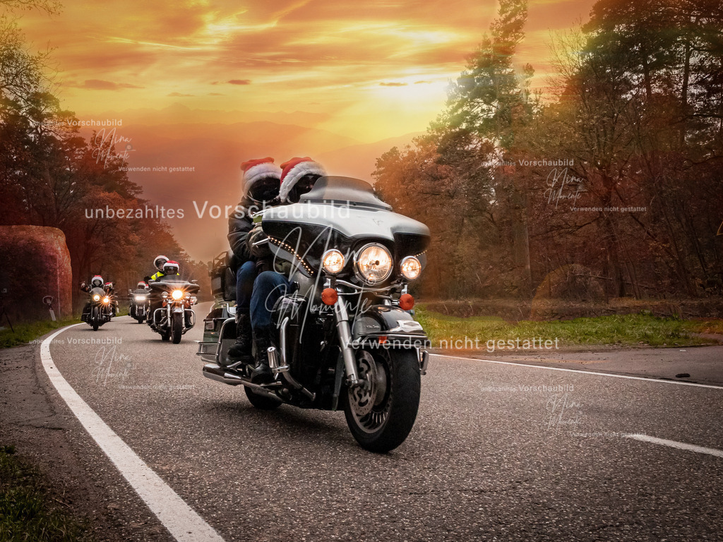 _16A2899-1 | Einzigartige Fotos von Hunden & Menschen –Actionfotos, Portraits, Vereinsaufnahmen & Paarshootings – authentisch, lebendig & mit Herz.