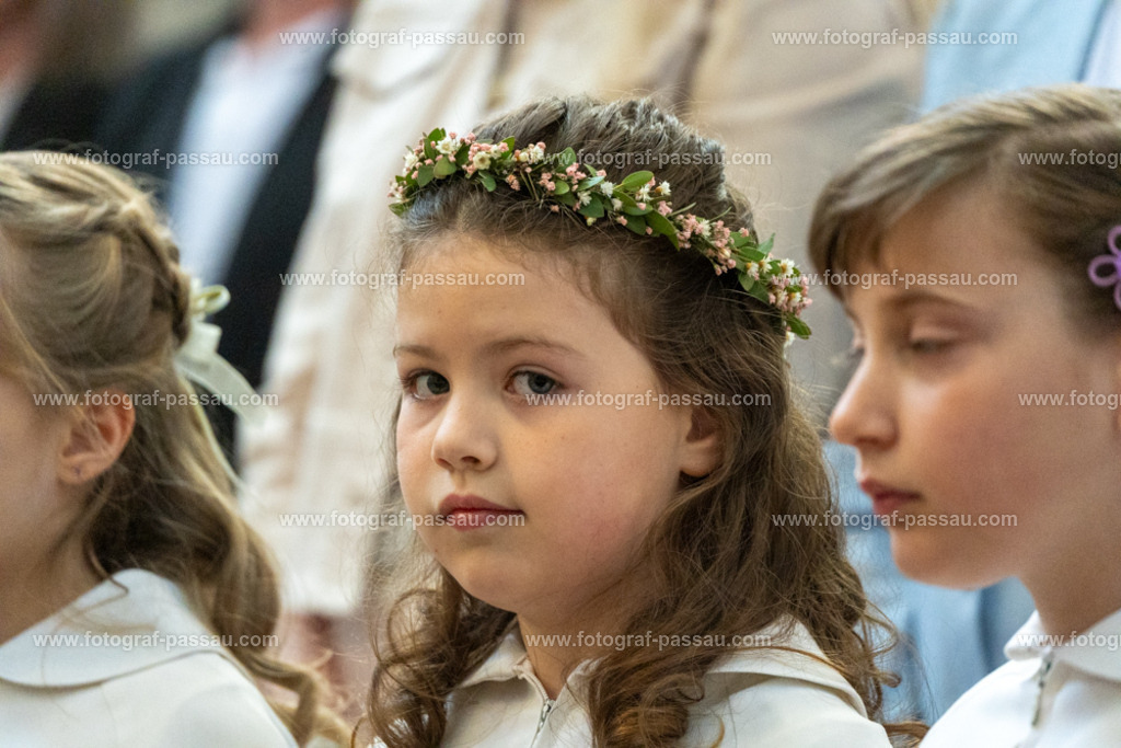 A7V02726 | Hier finden Sie die Online Foto-Galerie von fotograf-passau.com und marius-handrugan.de. Suchen Sie sich direkt Ihre Lieblingsbilder aus, ob als Ausdruck oder Download. - Realisiert mit Pictrs.com