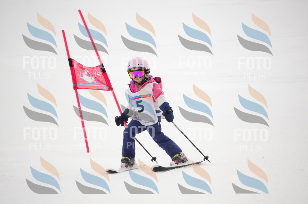 B9709 | holidayphoto