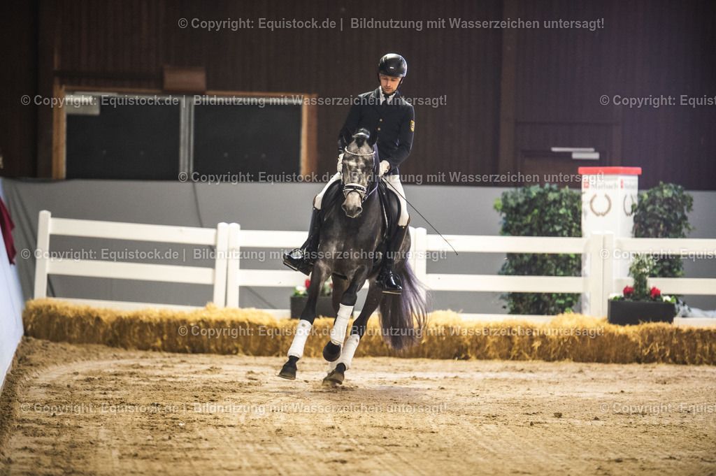20240302_Hengstvorstellung_Marbach_TOMsPiC_0175 | equistock
