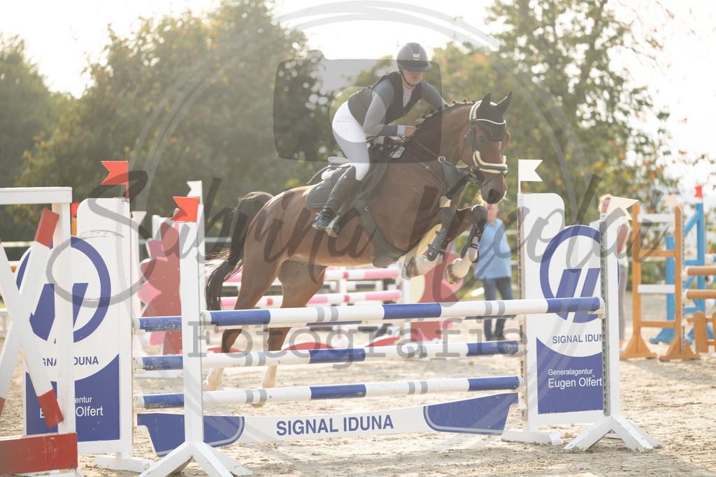 994A2185 | sabrinanicolaifotografie - Realisiert mit Pictrs.com