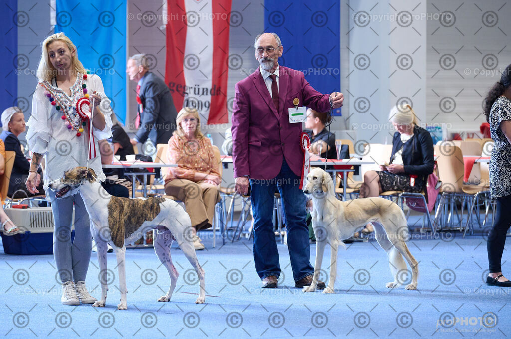 202406_ÖKV-IHA-Tulln24_DSC_5186 | proPHOTO - Realisiert mit Pictrs.com