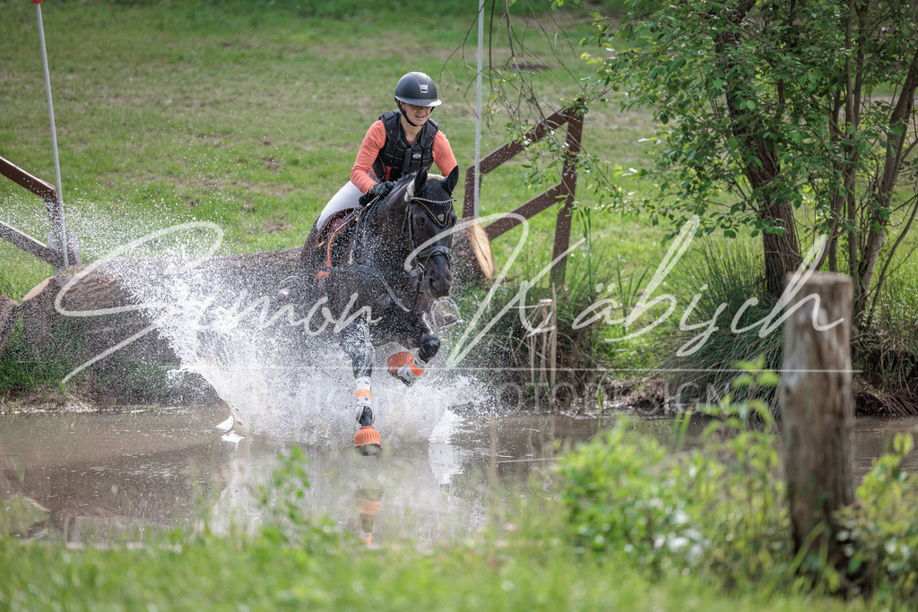 20260523-_3LI9540 | Tierfotografie Pferde, Hunde, Katzen, Haustiere.
Turnierfotografie Reitturniere, Reiten, Springreiten, Dressur in Hanau, dem Main-Kinzig-Kreis und dem Rhein-Main- Gebiet um Frankfurt