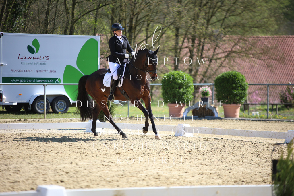 IMGT8547 | pl-fotografie