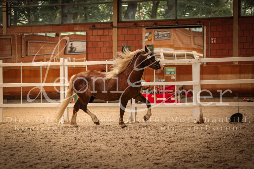 SaFL00463 | Leoni Ertmer Photography - Realisiert mit Pictrs.com