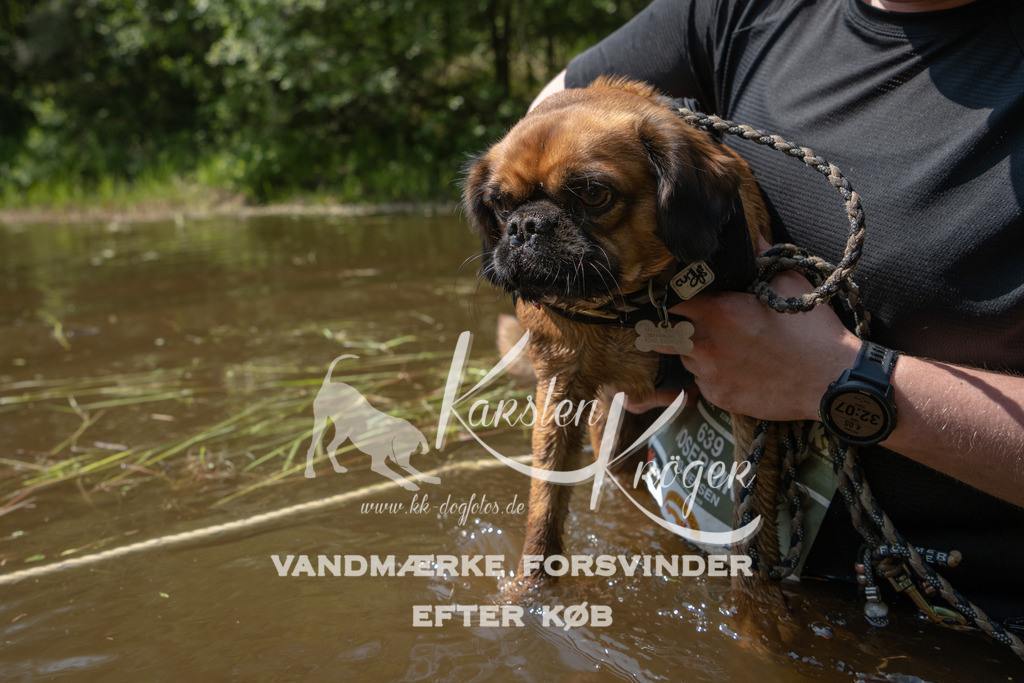 1330DKK994286 | kk-dogfotos