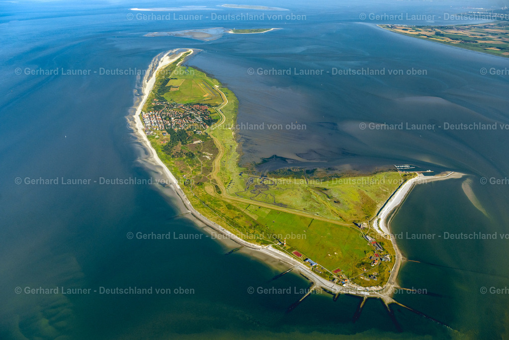 4038320 | Wangerooge Nationalpark Niedersächsisches Wattenmeer