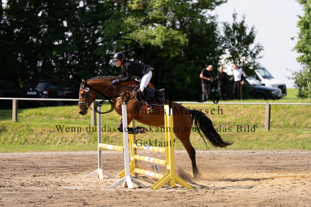 A7507378 | Turnier/Reitfotograf