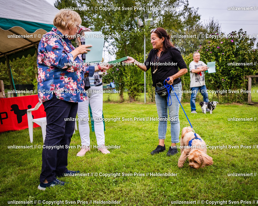 Sven Pries | 2024-09-22 - Hunderennen Baden-BadenPudelverein - Realisiert mit Pictrs.com