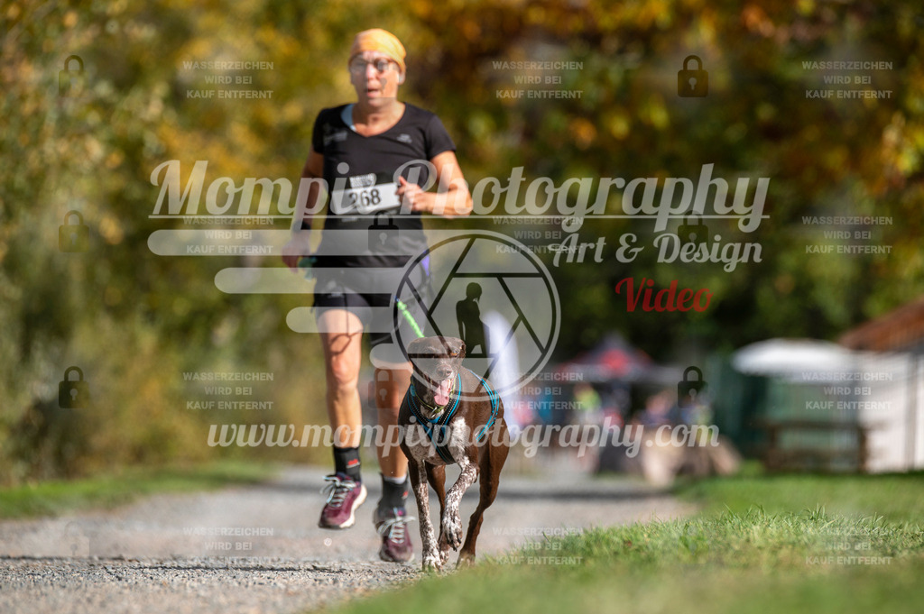 TSB_2023_E2_Canicross-110 | mompixphotography