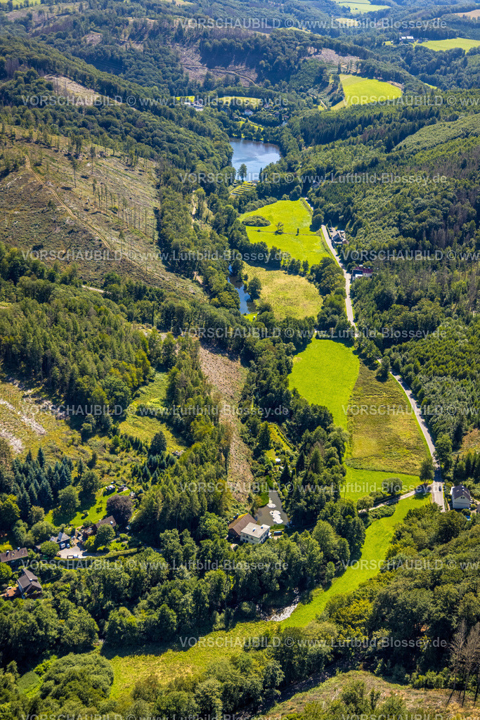 Ennepetal230801063 | Luftbild, Waldgebiet mit Waldschäden, an der Landesstraße L699 Grüntal, NSG Tal der  Ennepe und Teich, Rüggeberg, Ennepetal, Ruhrgebiet, Nordrhein-Westfalen, Deutschland