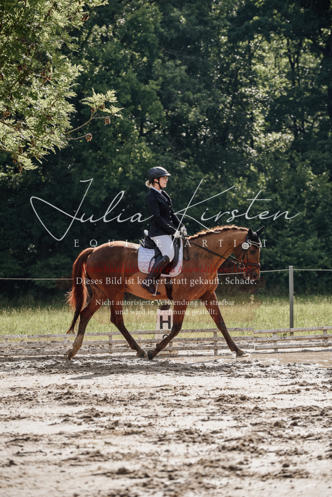 DSC_8840 | Pferde- und Turnierfotografie in Westsachsen. Pferdeportraits, Auftragszeichnungen und intuitive Kunst.
