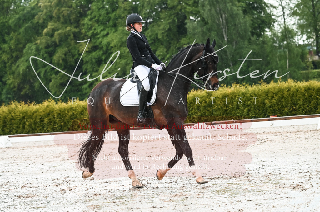 DSC_4329 | Pferde- und Turnierfotografie in Westsachsen. Pferdeportraits, Auftragszeichnungen und intuitive Kunst.