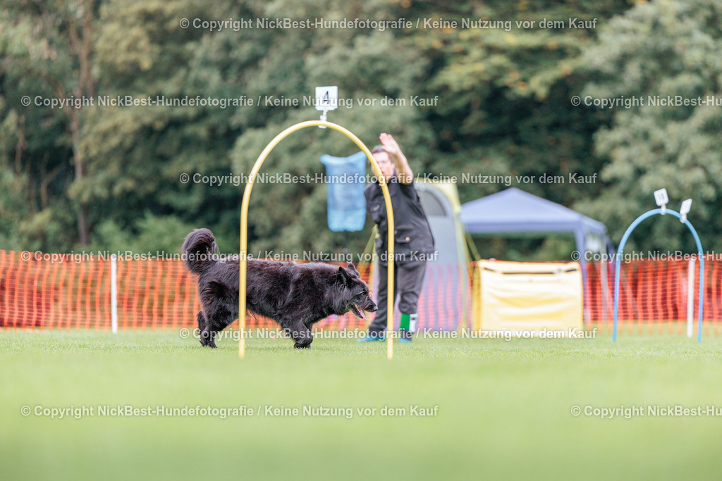 BSP Hoopers-H2-2026-Nickbest-Hundefotografie-TuS Komet Arsten e.V.-4070 | Dein Hund! Dein Moment! Deine Erinnerungen! Hundefotografie in Bremen Blumenthal. Ich fange die besonderen Momente deines Vierbeiners ein – ob Indoor mit Blitzanlage oder in der freien Natur. Sicher dir dein Moment und dein Termin für eure Erinnerungen.