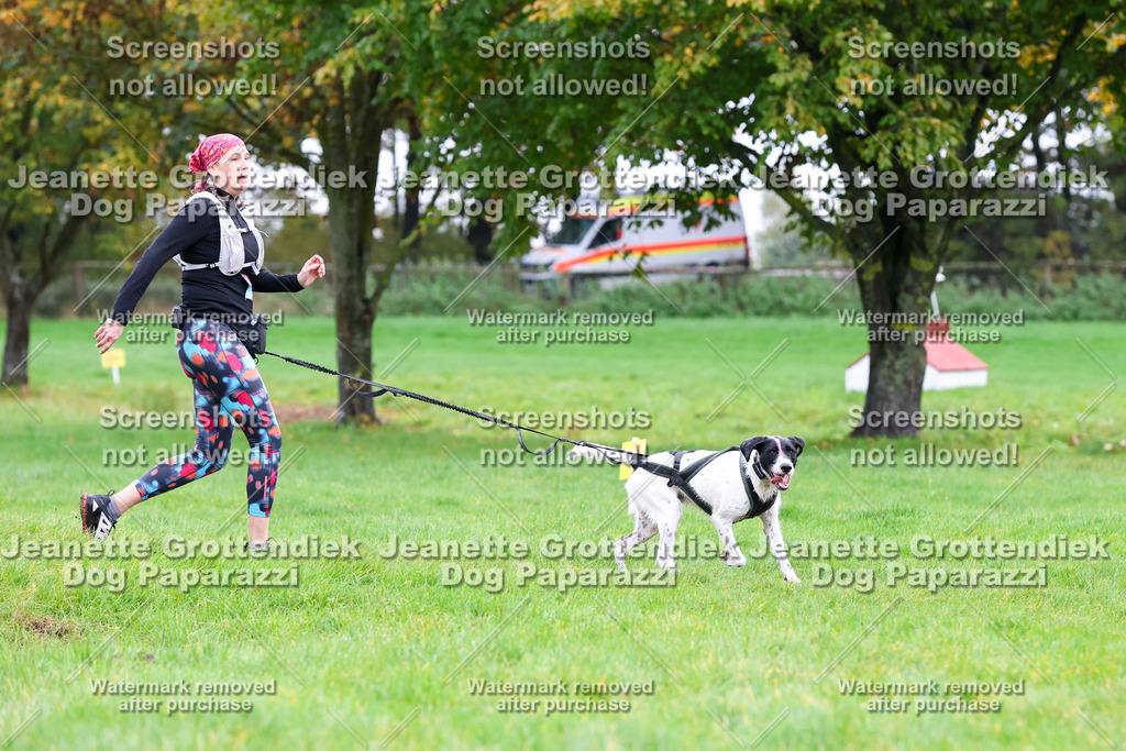 Dog Paparazzi -  SD1026-1068 | Dog Paparazzi Jeanette Grottendiek Fotografie & Videografie - Realisiert mit Pictrs.com