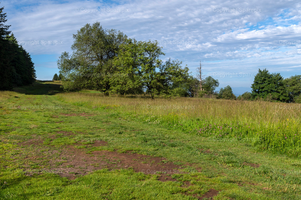 LOC_Trail_Summer_Hills8 | sparepix - Realisiert mit Pictrs.com