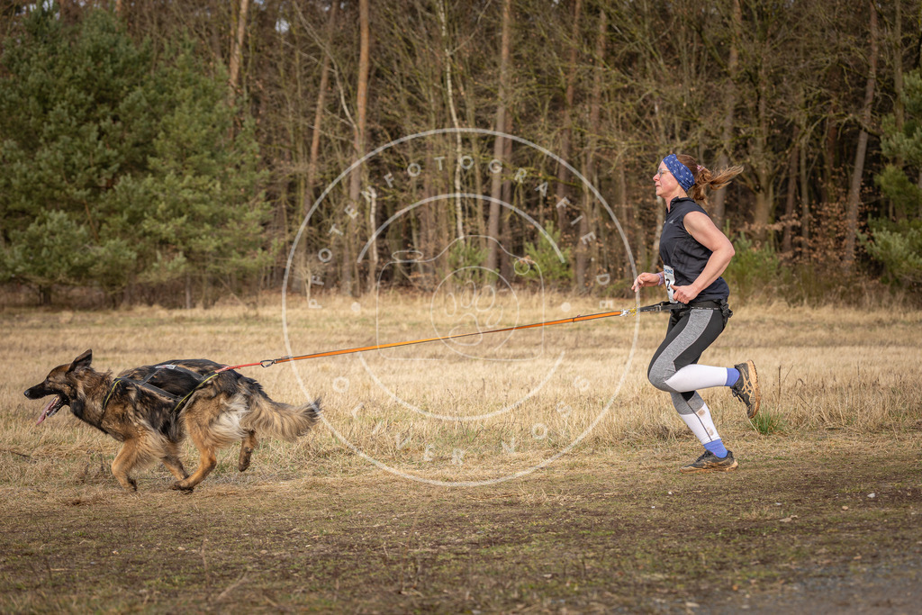 DV3A4090 | Hundefotografie, Tierfotograf, Pfotenfotografie, Fotoshooting Hund, Hunde Portrait, Hundesport, Hundeportraits, Heideshooting, Hunde, Sportfotograf, Hundefotograf, Turnierhundsport, THS,  - Realisiert mit Pictrs.com