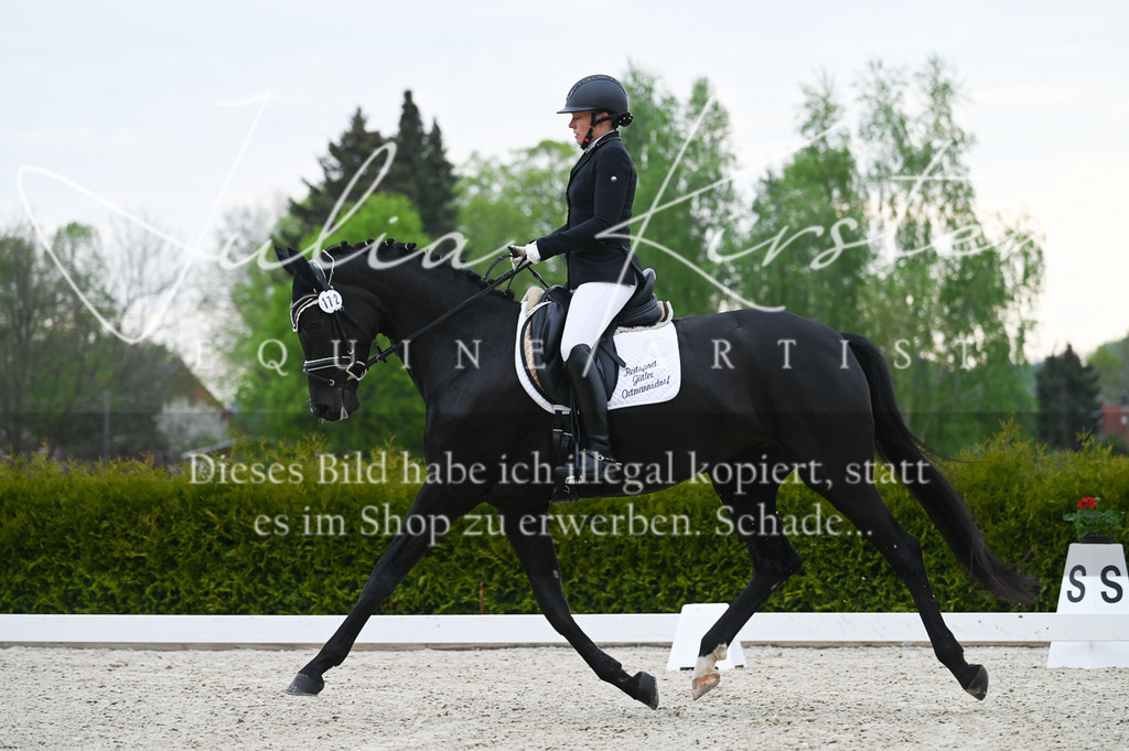 20230512_JK-Röhrsdorf-02-032 | Pferde- und Turnierfotografie in Westsachsen. Pferdeportraits, Auftragszeichnungen und intuitive Kunst.