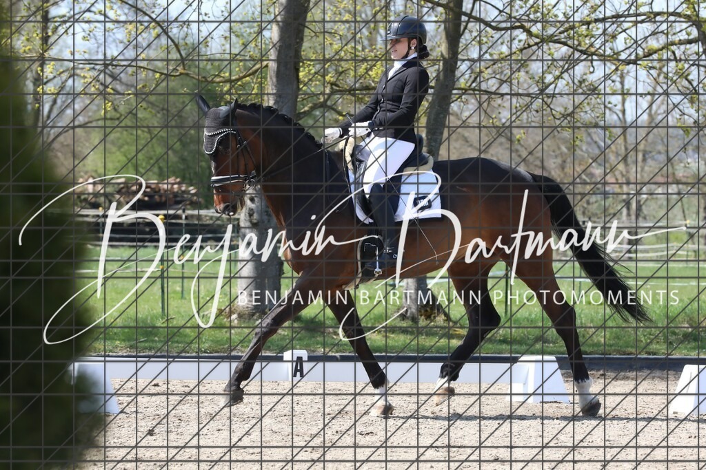 AZ2A5386 | Benjamin Bartmann Photomoments