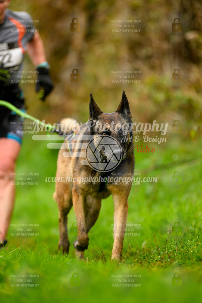 MompixPhotography_20TSB_E8_Run-186 | PayLife