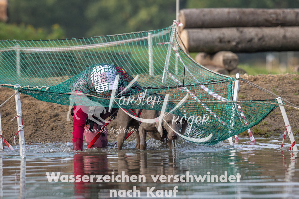0957_ZZ91449 | kk-dogfotos