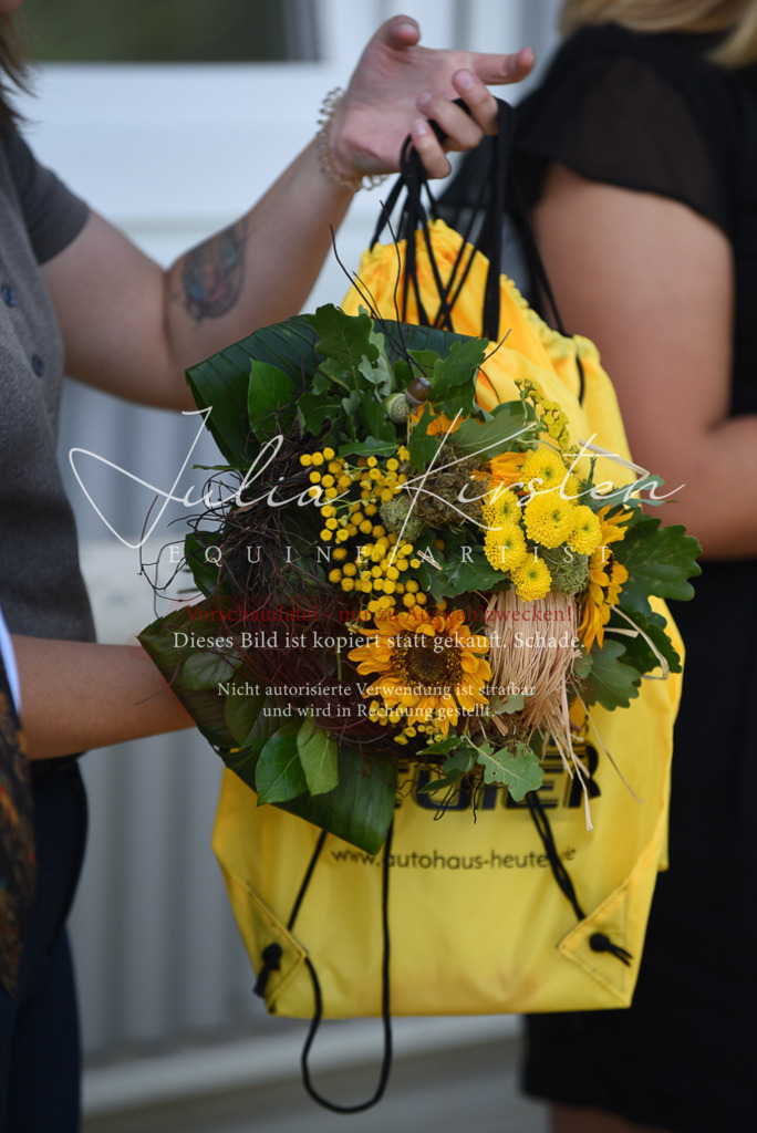 DSC_0114 | Pferde- und Turnierfotografie in Westsachsen. Pferdeportraits, Auftragszeichnungen und intuitive Kunst.