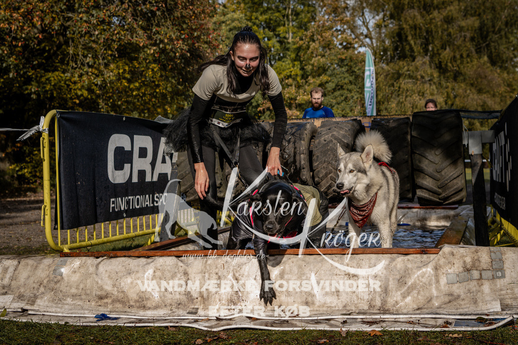 1302_ZZ91751 | kk-dogfotos