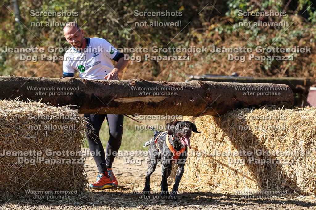 Dog Paparazzi - Strongdog 10-25-2926 | Dog Paparazzi Jeanette Grottendiek Fotografie & Videografie - Realisiert mit Pictrs.com