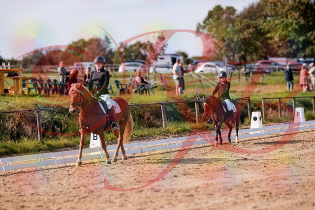 2026_10_03_Siefer-Hof_122307_Z81_22954436 | Professionelle Reitsport-, Turnier- und Eventfotografie von Robert Broda. Galerien mit ausgewählten und bearbeiteten Bildern direkt online ansehen und bestellen.