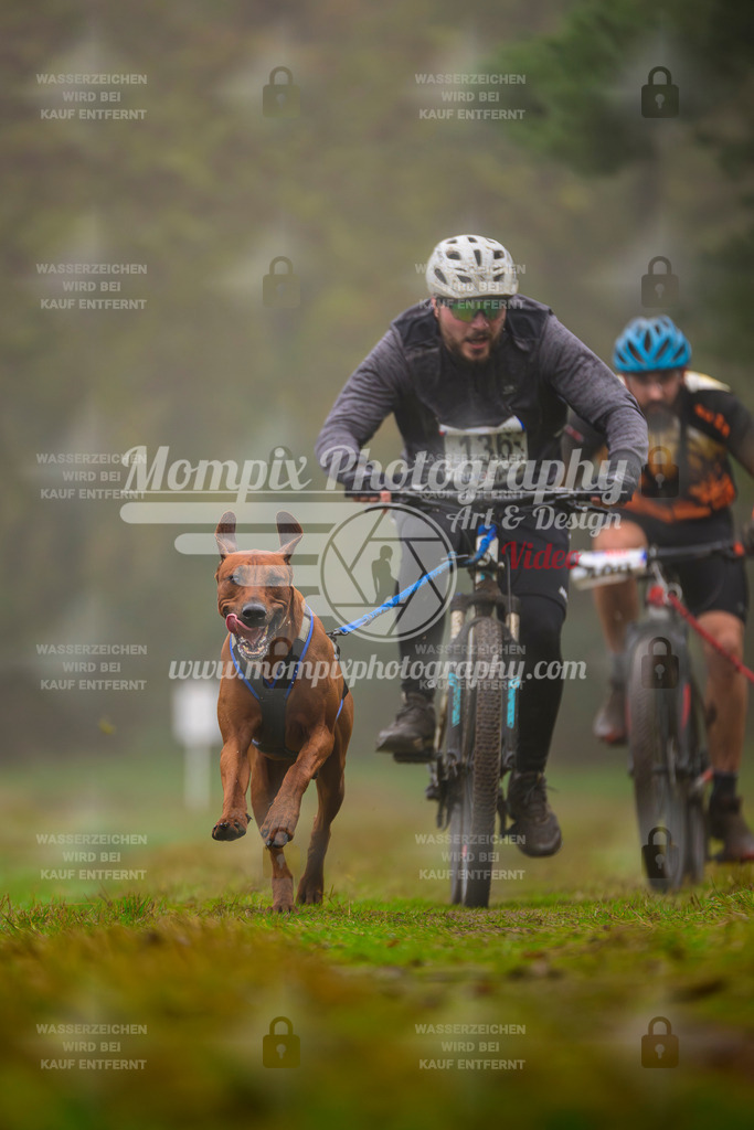 MompixPhotography_Bischwiller2025_Bike-47 | mompixphotography