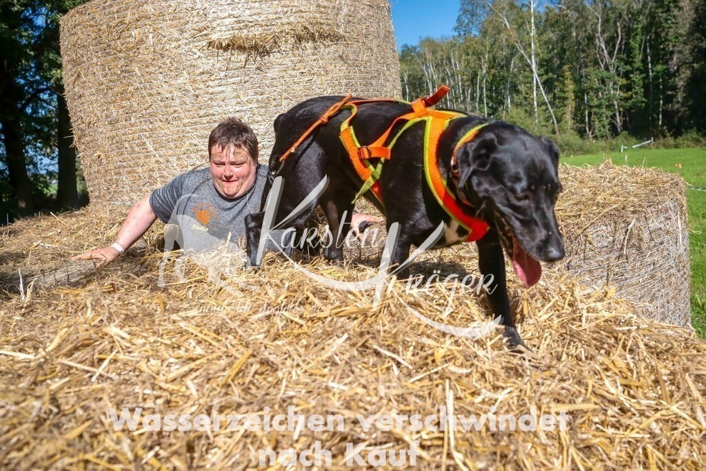 1354_ZZ91836-3-Bearbeitet-Bearbeitet | kk-dogfotos