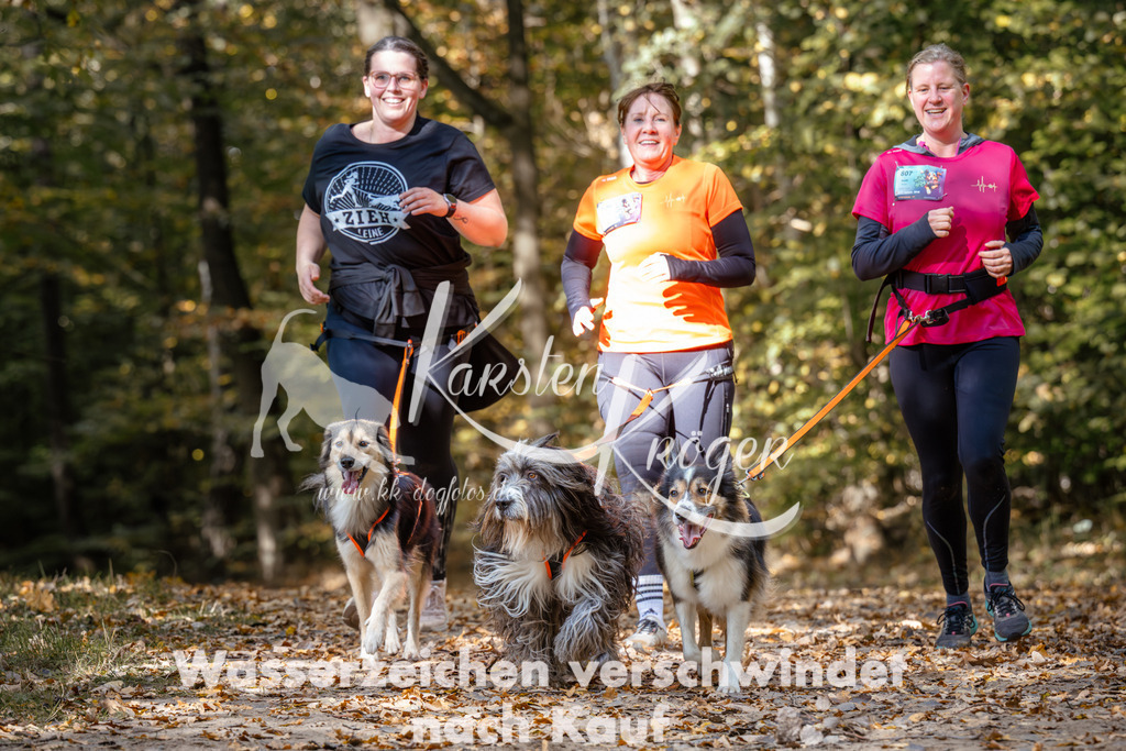 1247_ZZ96245 | kk-dogfotos