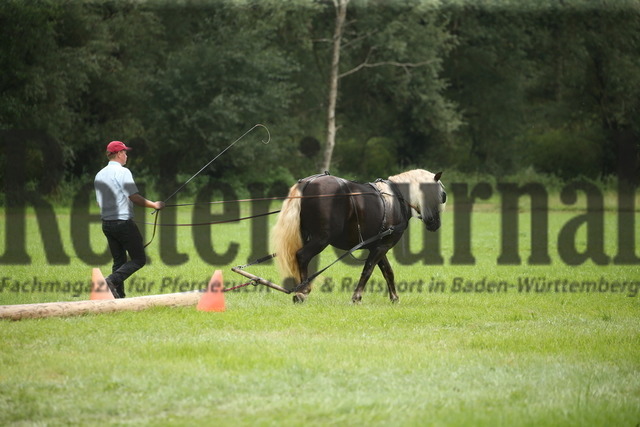 Leistungsprüfung_Ziehen_KN_05_Marbach_2022 (13) | Alle Fotos der Reiterjournal Fotografin Doris Matthaes im Reiterjournal Online-Fotoshop. - Realisiert mit Pictrs.com