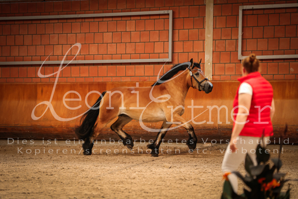 SaFL00191 | Leoni Ertmer Photography - Realisiert mit Pictrs.com
